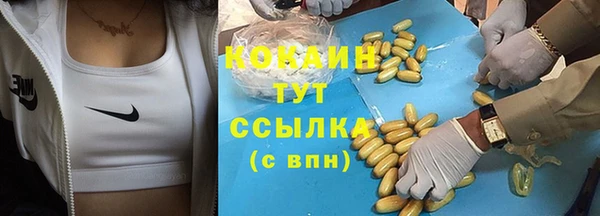 прущие грибы Белокуриха